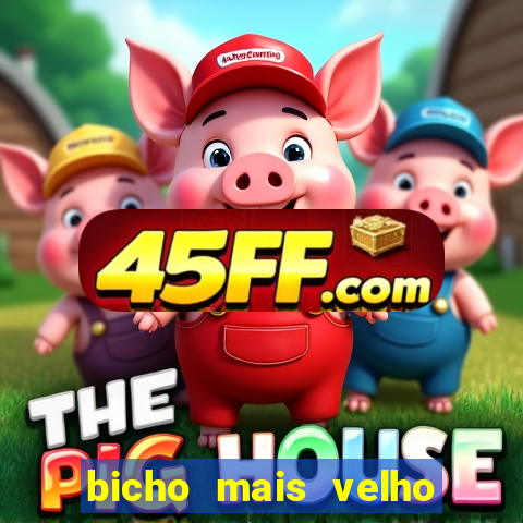 bicho mais velho da loteria dos sonhos
